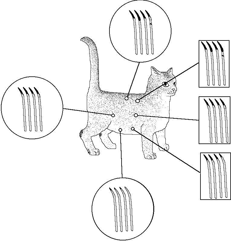 Figure 4 - Hairbanding in Silver Shaded