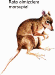 rata almizclera marsupial, literally "marsupial muskrat", from Alumnos/as curso "Iniciación a la Red Internet"